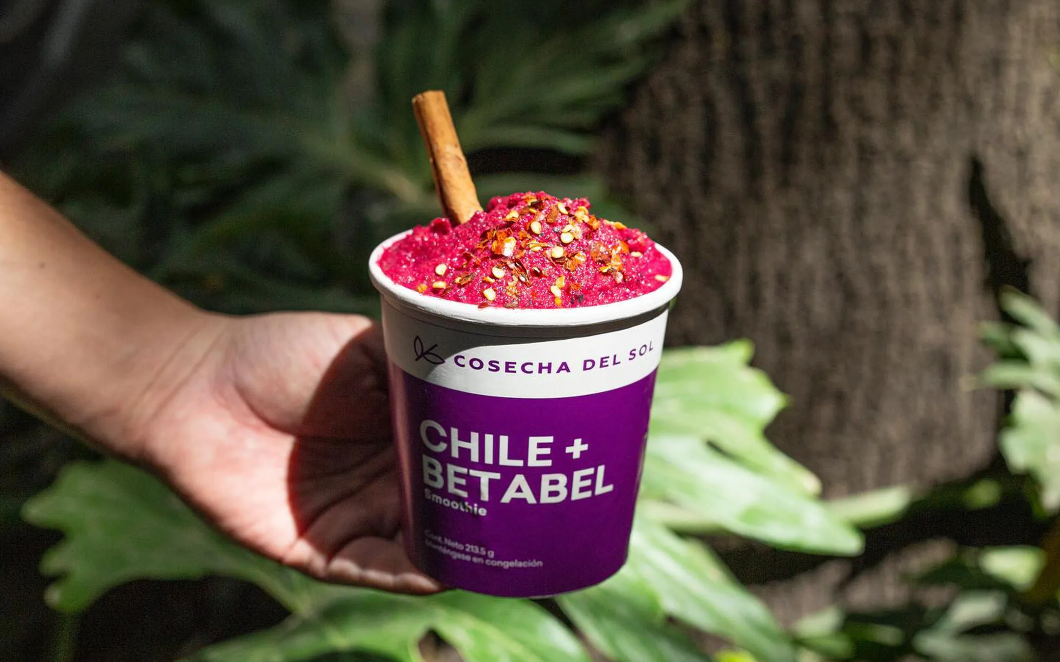 Smoothie Chile + Betabel servido en su propio empaque, con una rama de canela, en una mano frente a plantas.